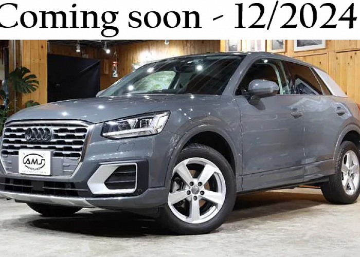 Audi Q2 2.0 TDI